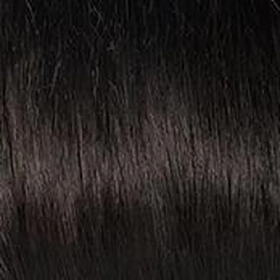 APPLAUSE - Wig by Raquel Welch 100% Human Hair