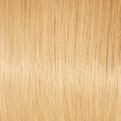 APPLAUSE - Wig by Raquel Welch 100% Human Hair