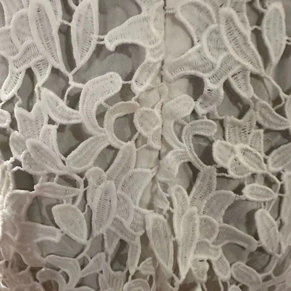 ASTR Lace dress in white