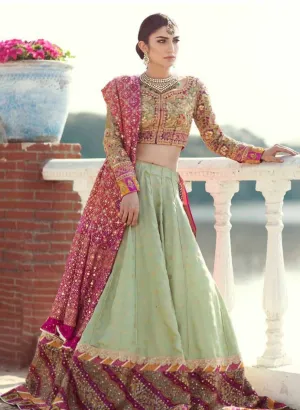 Beautiful Soft mint green lehenga #B2033