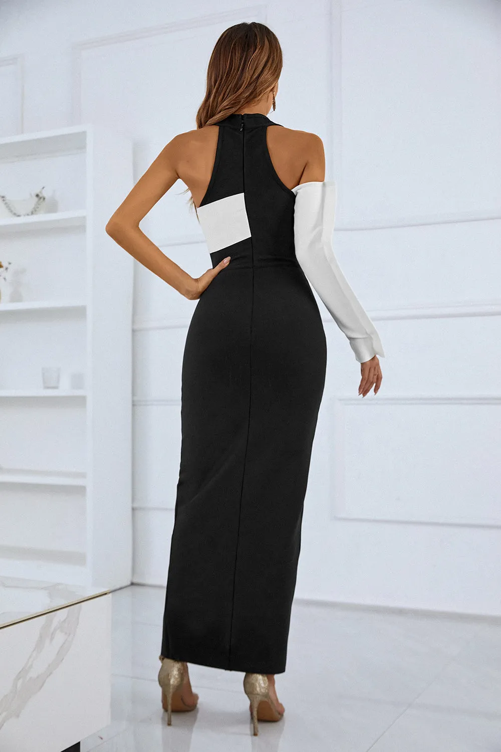 Cicelia One Sleeve Maxi Dress