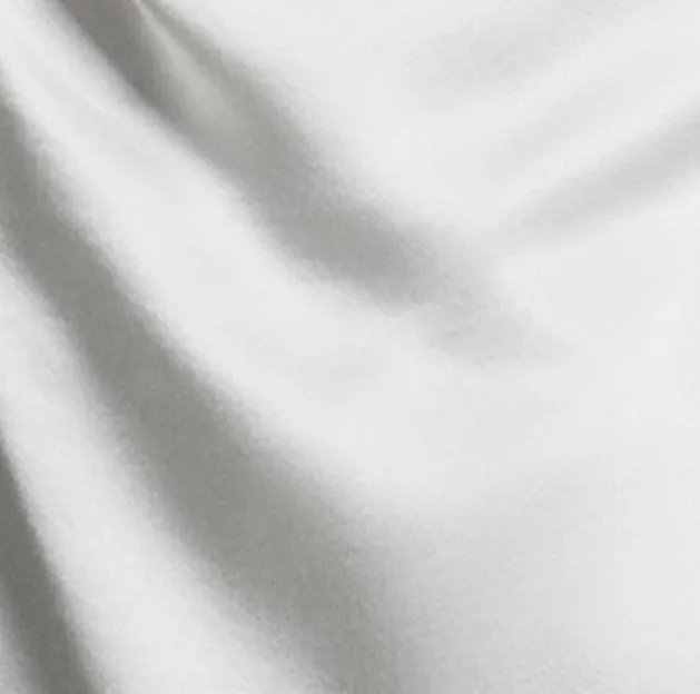 Comet Corset: Silk satin