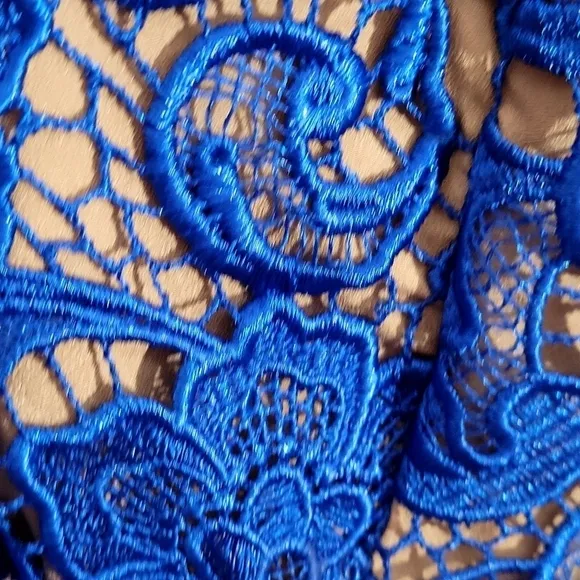Dress the Population Lace Mini Dress