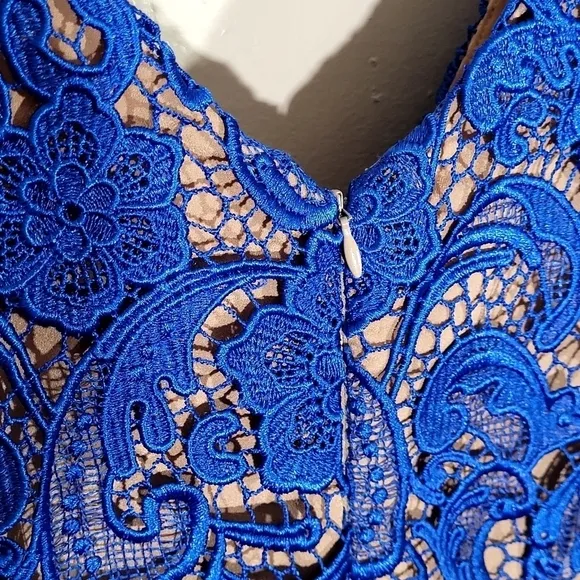 Dress the Population Lace Mini Dress
