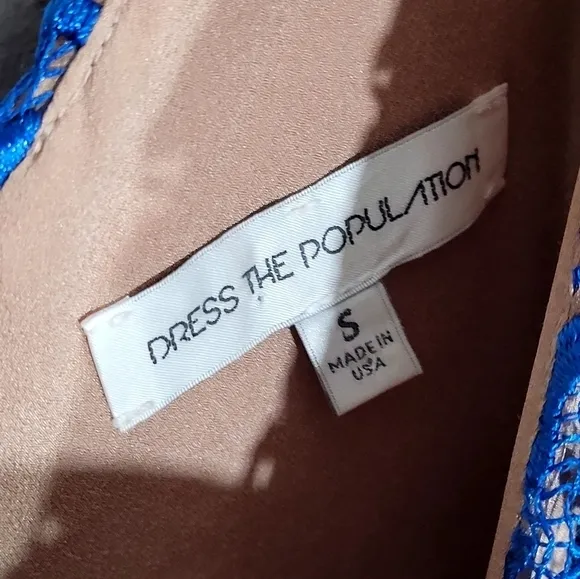 Dress the Population Lace Mini Dress