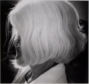 Emilie's Hair, Naples, Florida