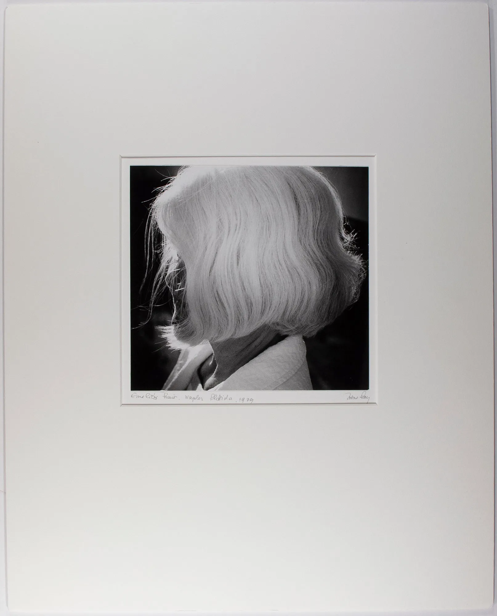 Emilie's Hair, Naples, Florida