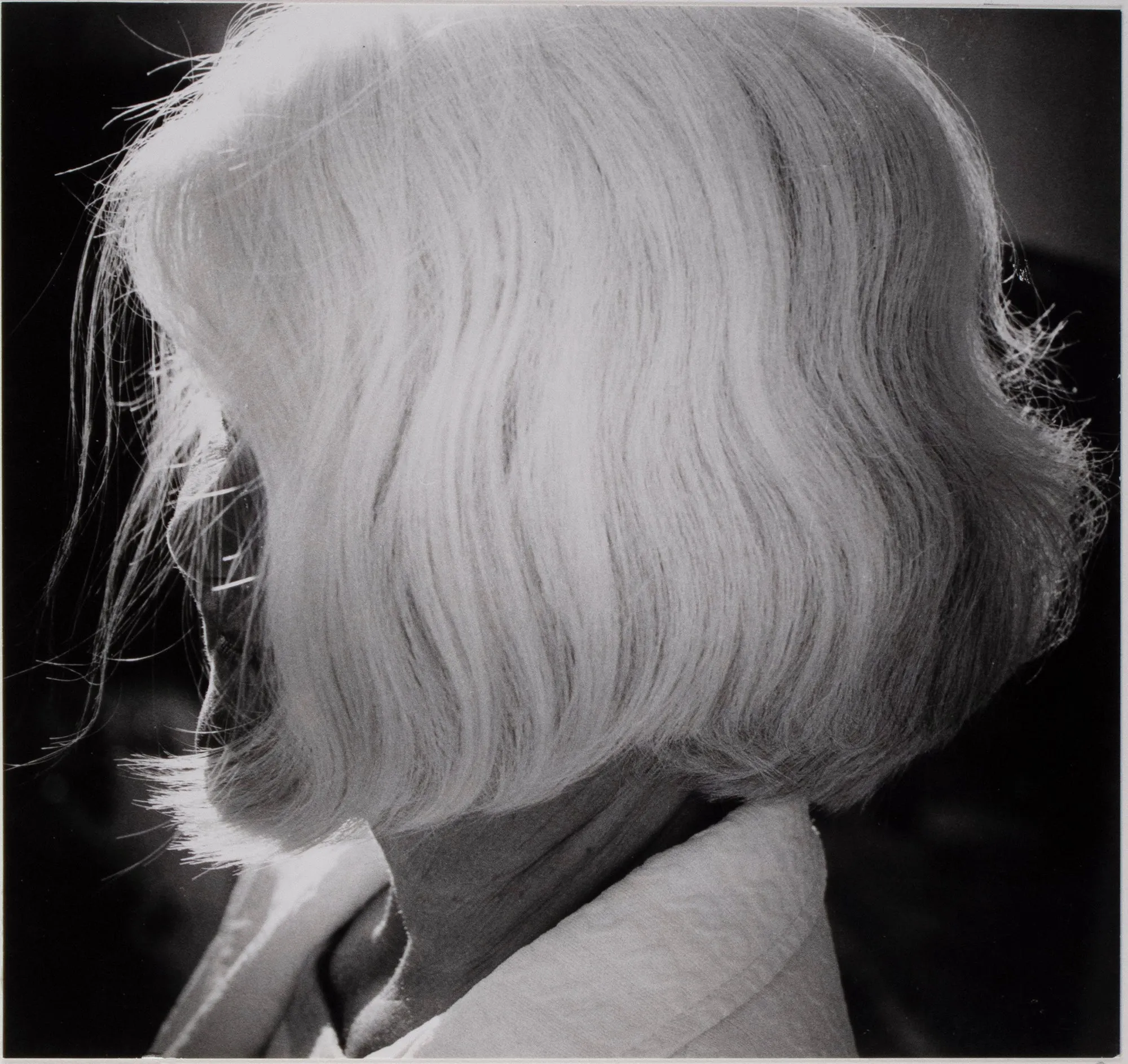 Emilie's Hair, Naples, Florida