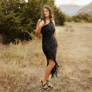 Night Gazer Sequins Dress