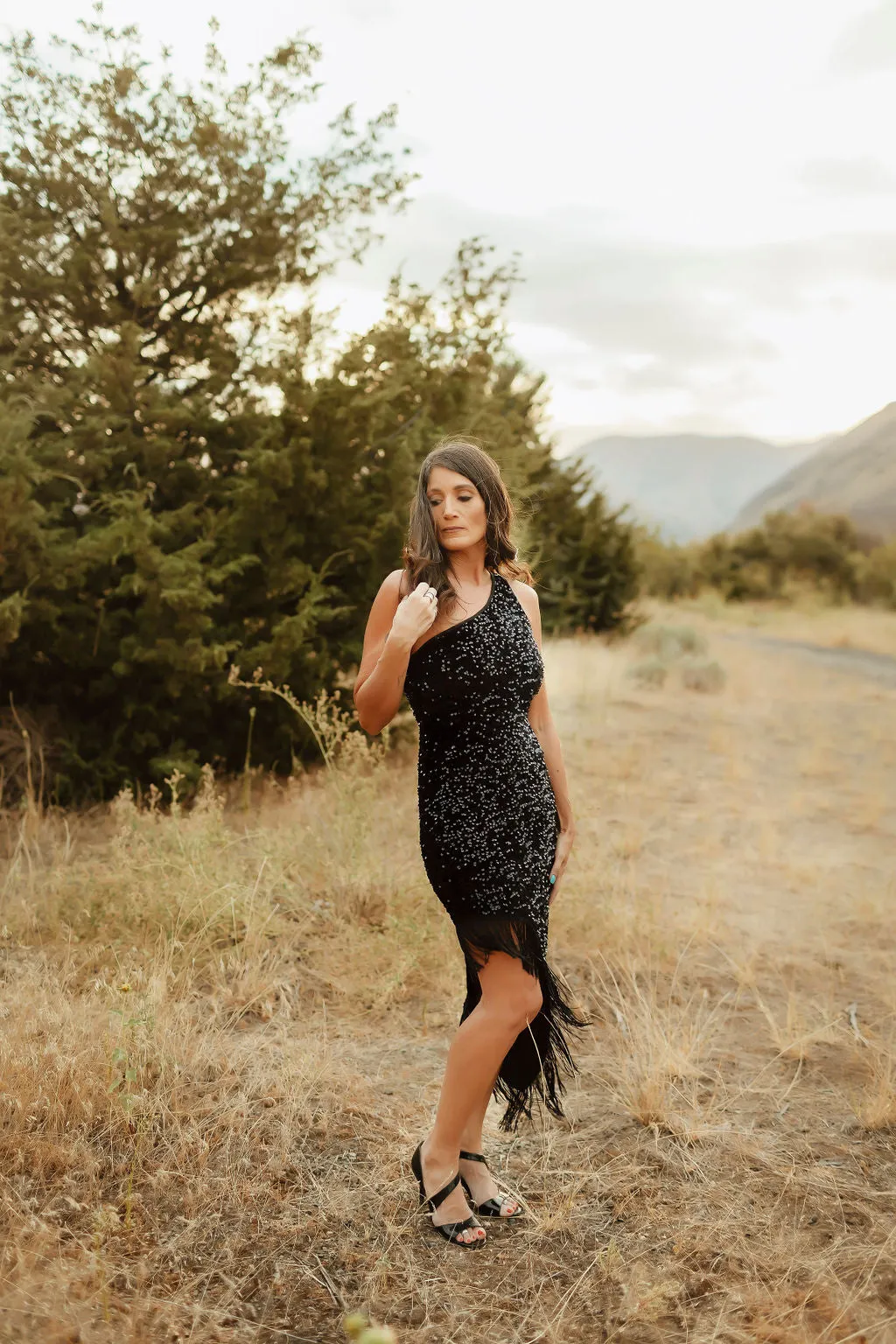 Night Gazer Sequins Dress