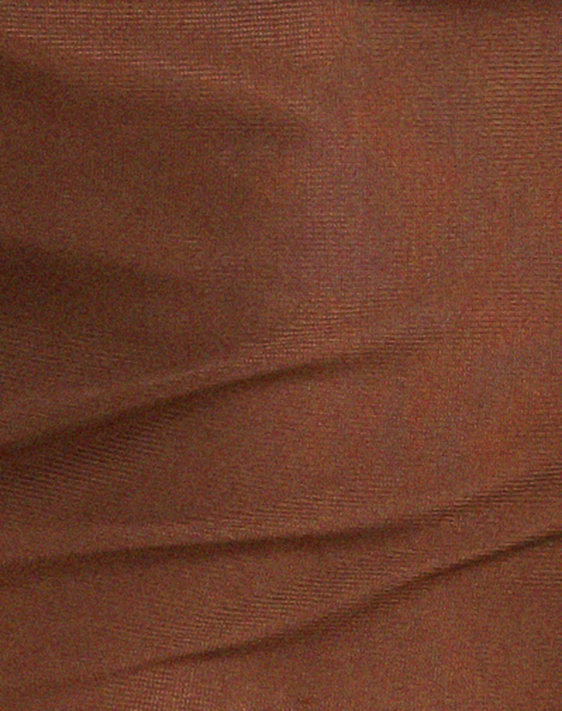 Pami Bikini Top in Shimmer Brown