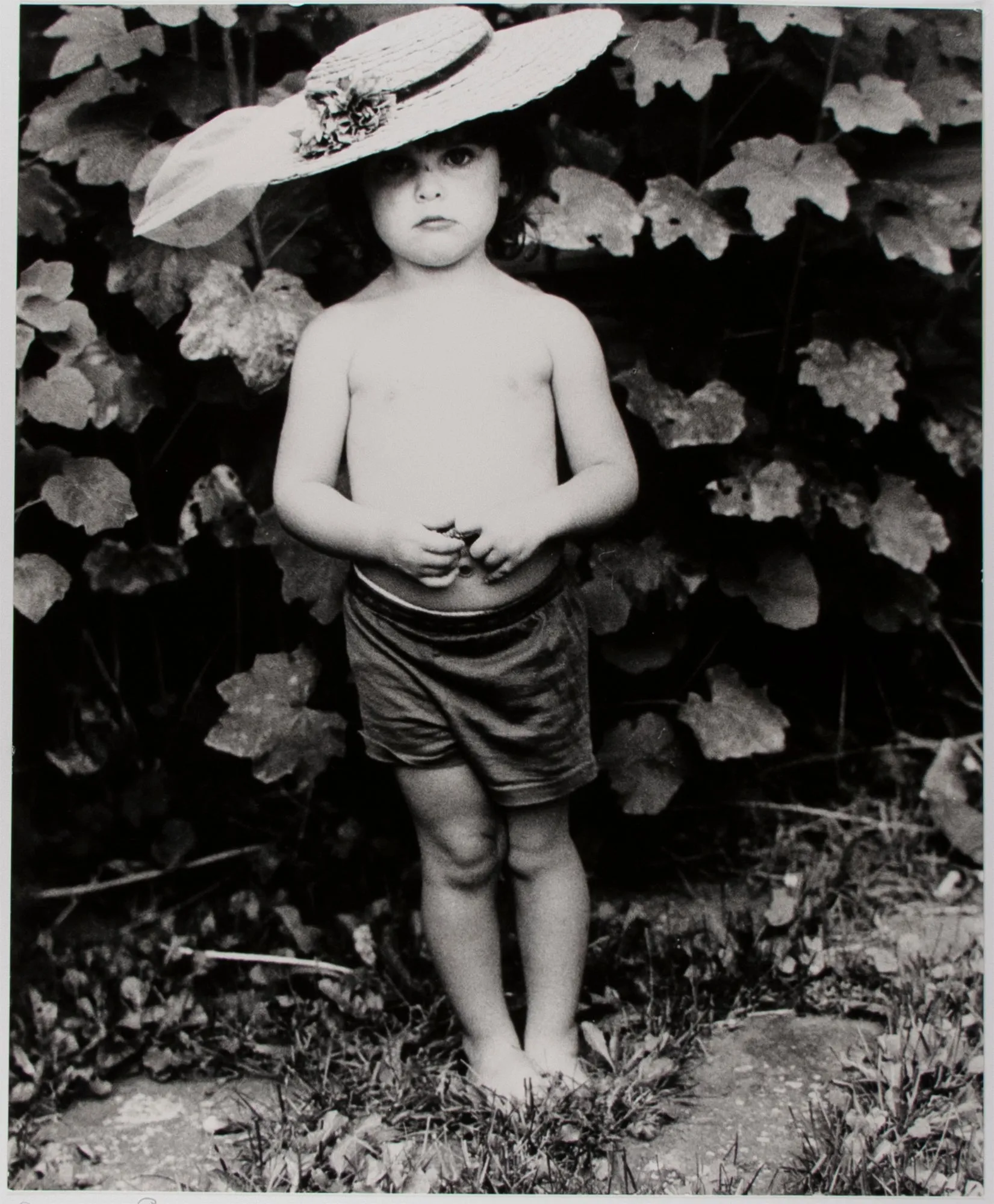 Rosalie Fay Barnes