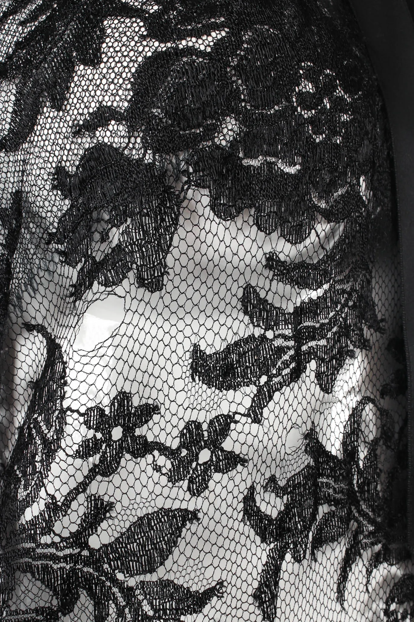 Sheer Floral Lace Dress