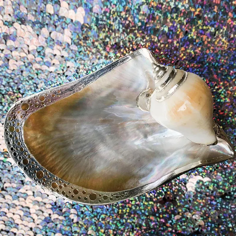 Silver Dipped Shell Dish Collection