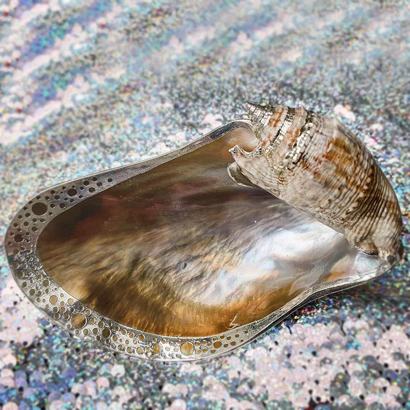 Silver Dipped Shell Dish Collection