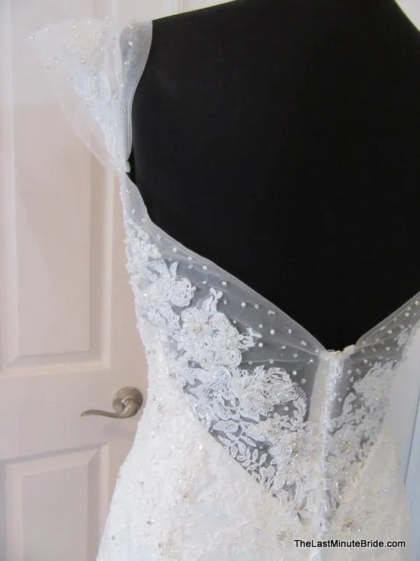 Sophia Tolli Y11569 Jarita size 14