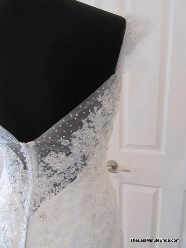 Sophia Tolli Y11569 Jarita size 14