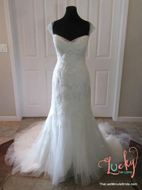 Sophia Tolli Y11569 Jarita size 14