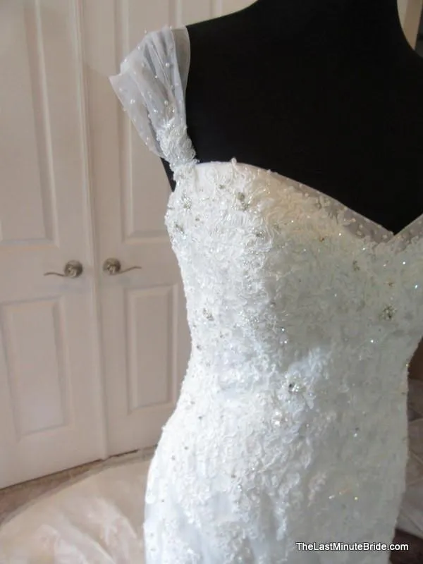 Sophia Tolli Y11569 Jarita size 14