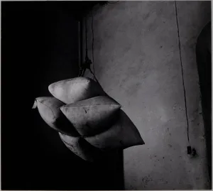 Sugarbags on a Pulley