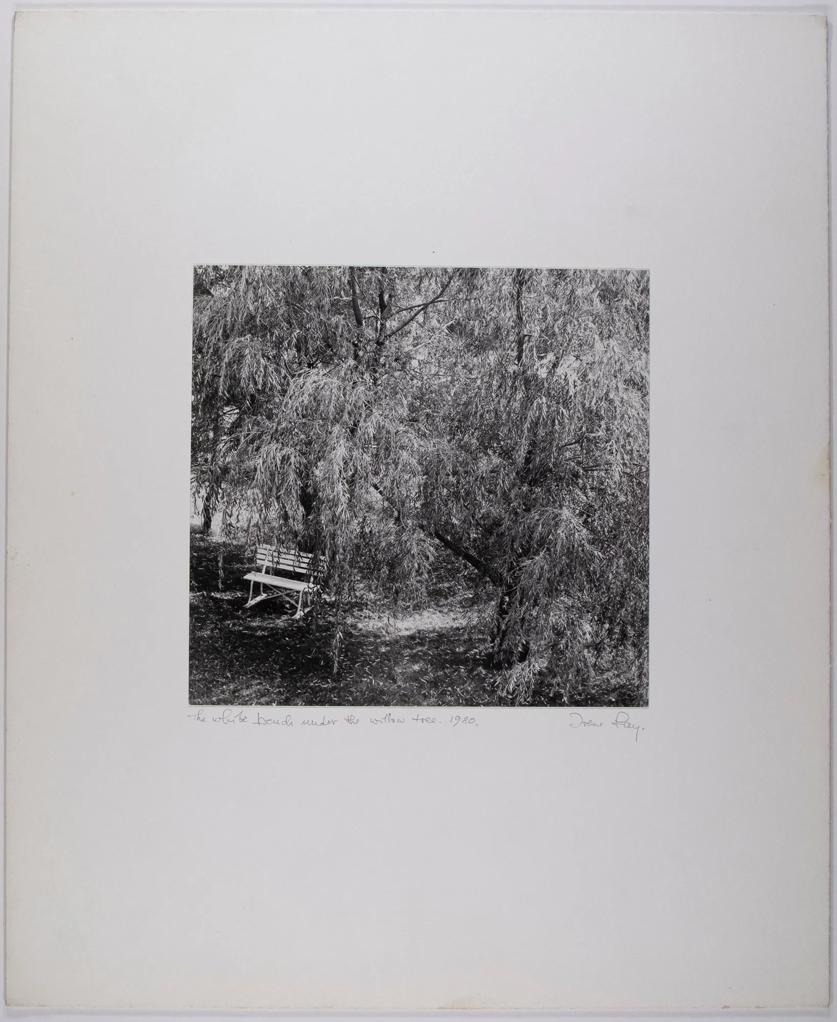 The White Bench Under The Willow Tree