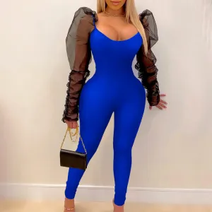 V-Neck Sheer Mesh Pleats Long Puff Sleeve Jumpsuit