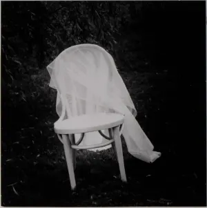 Veiled Bentwood