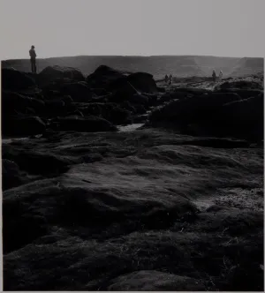 Yorkshire Moors